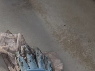 ベランダアセトン抜き中